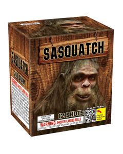 NN2023-sasquatch